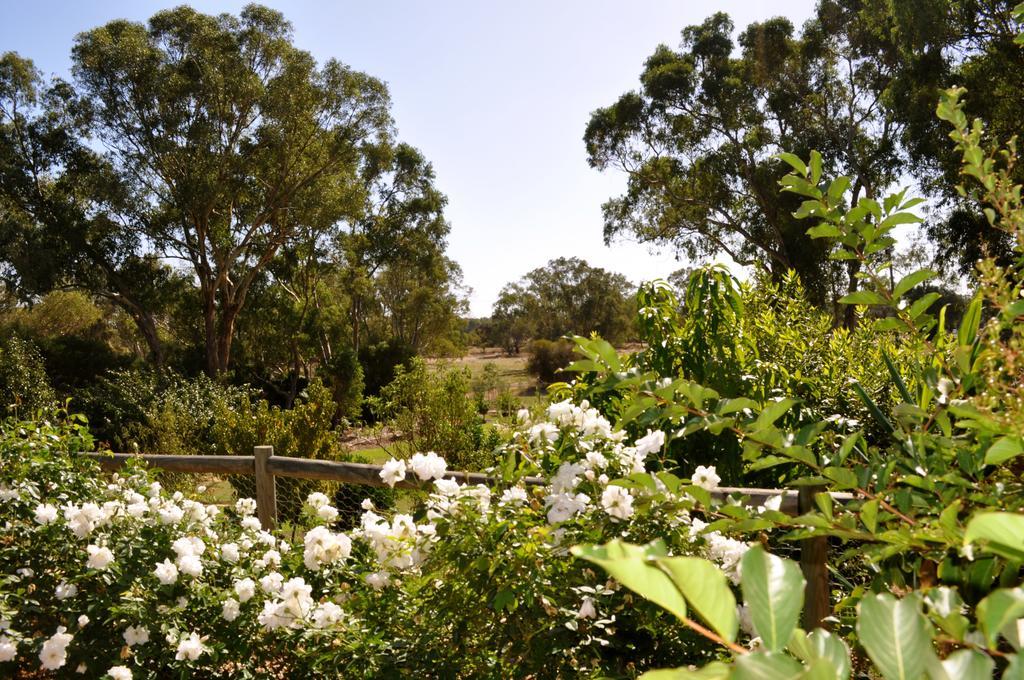 Guildford River Retreat เพิร์ท ภายนอก รูปภาพ